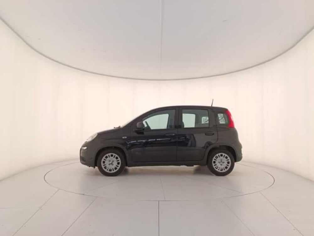 Fiat Panda usata a Treviso (8)