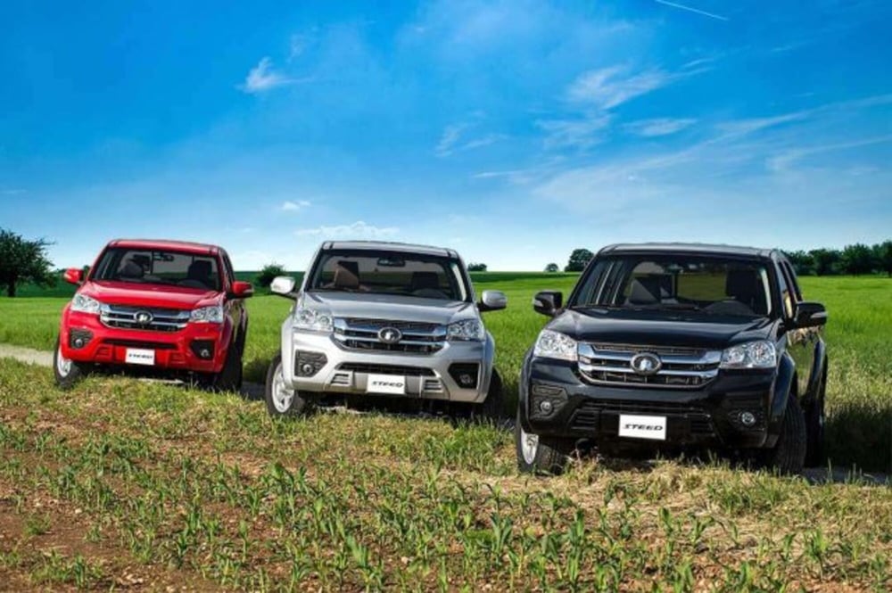 Great Wall Steed Pick-up nuova a Firenze (6)