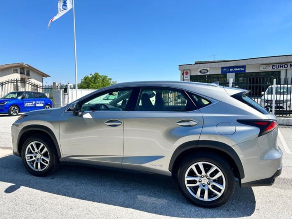Lexus NX usata a Campobasso (2)