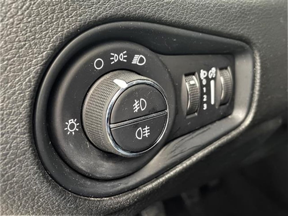 Jeep Renegade usata a Monza e Brianza (15)
