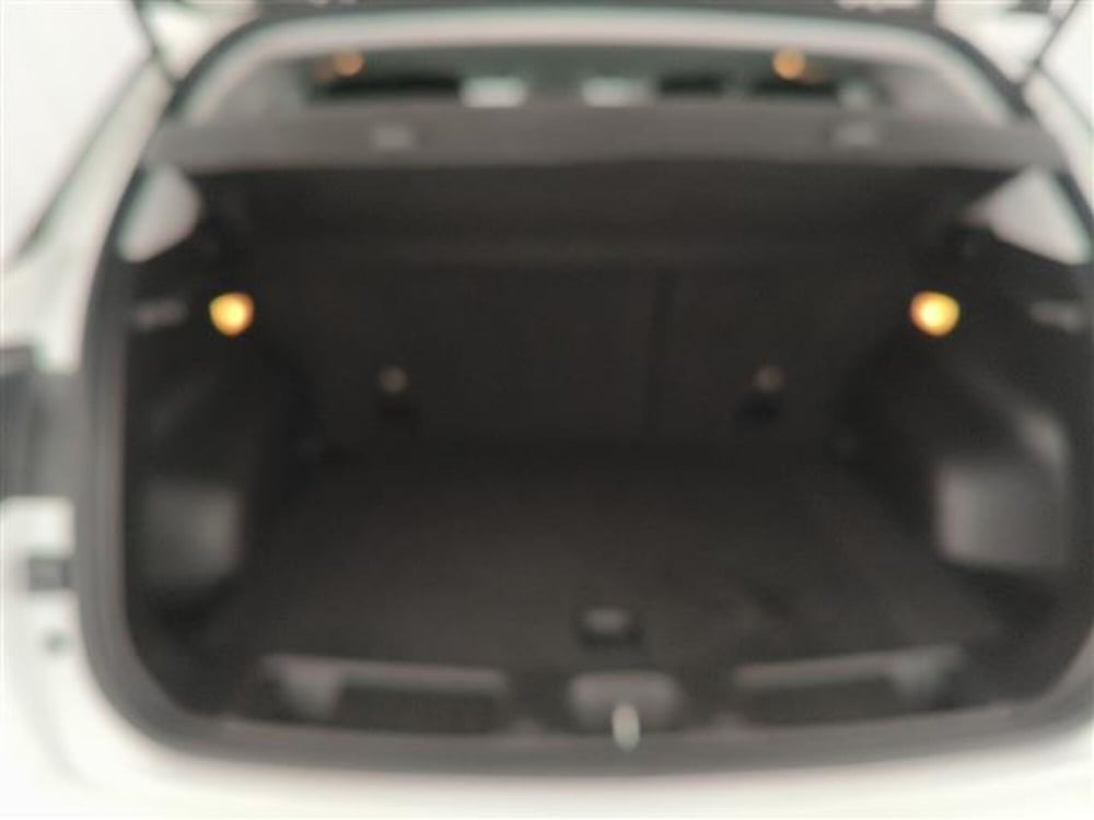 Jeep Compass usata a Monza e Brianza (9)