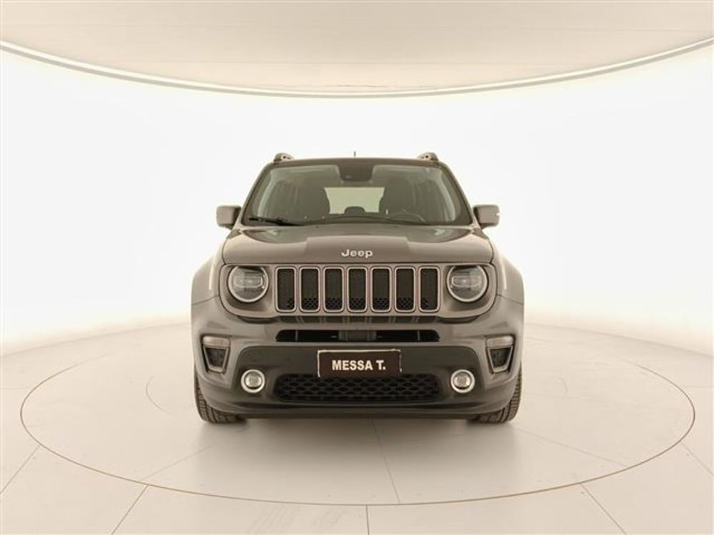 Jeep Renegade usata a Monza e Brianza (3)