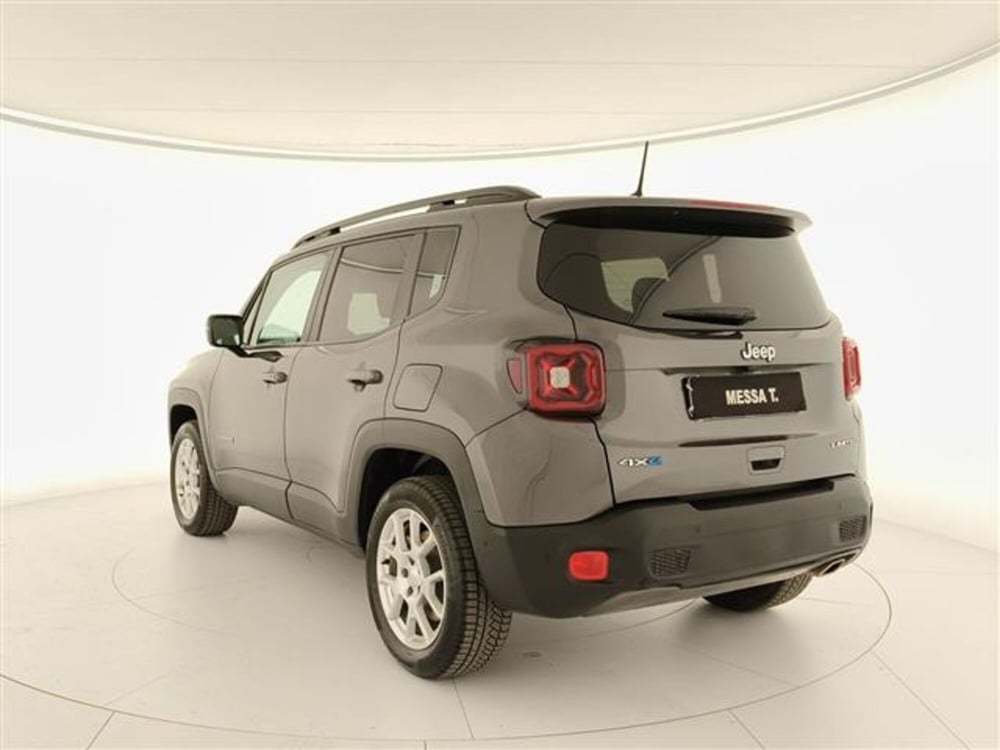 Jeep Renegade usata a Monza e Brianza (7)