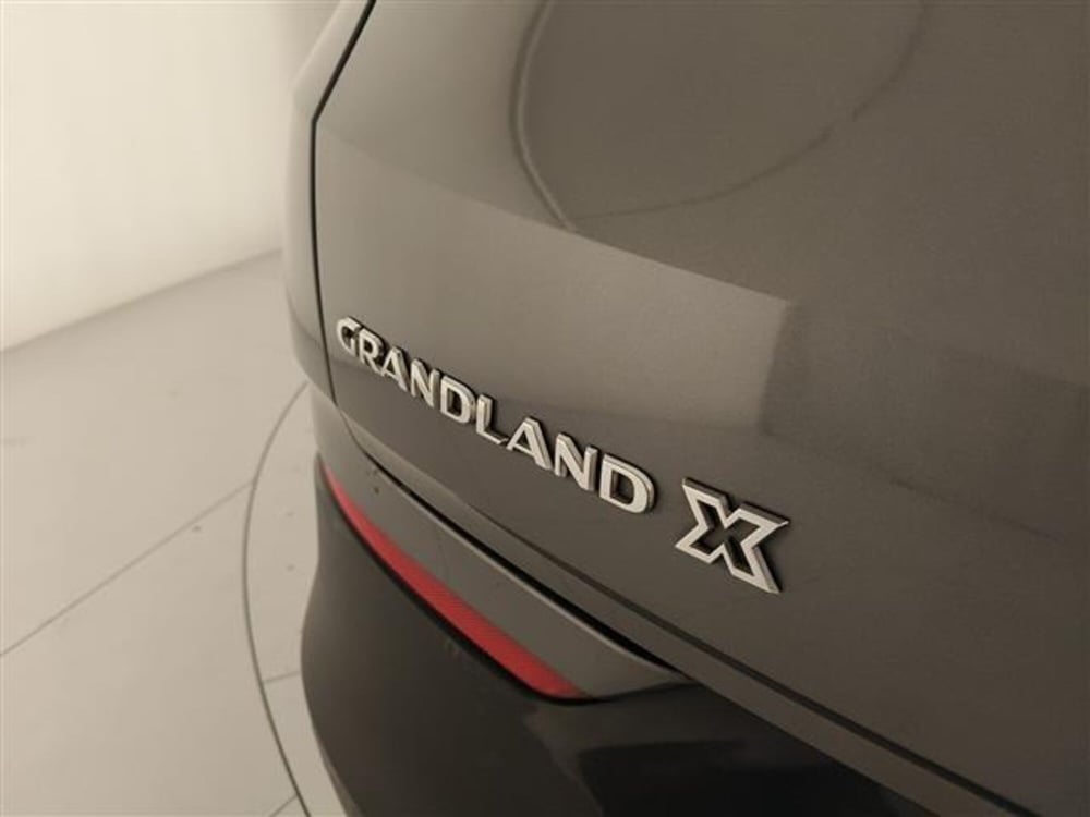 Opel Grandland X usata a Monza e Brianza (8)