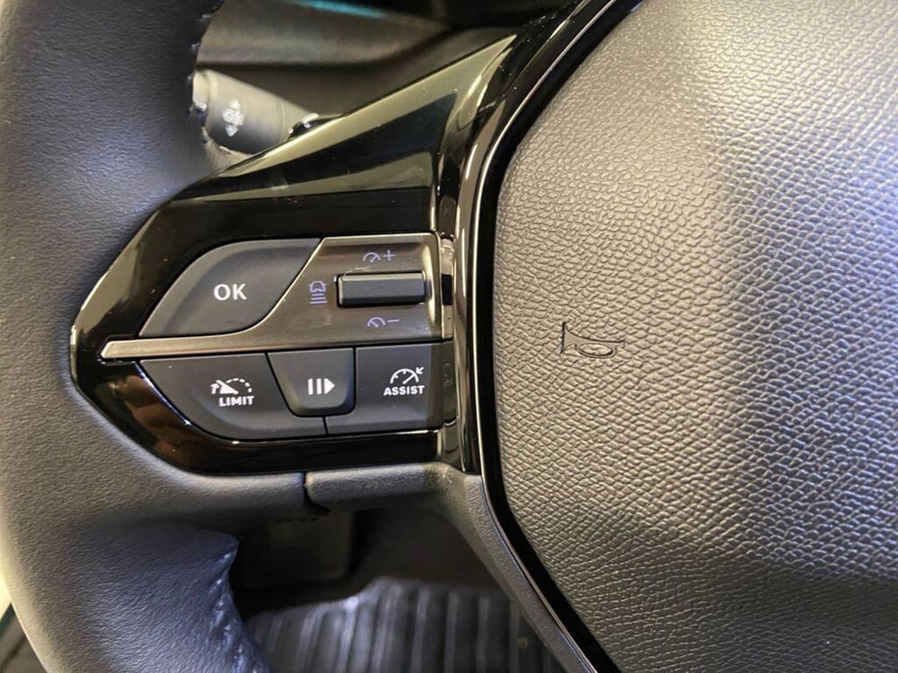 Peugeot 308 SW usata a Torino (13)