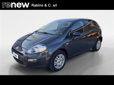 Fiat Punto 1.2 8V 5 porte Street del 2017 usata a Pinerolo