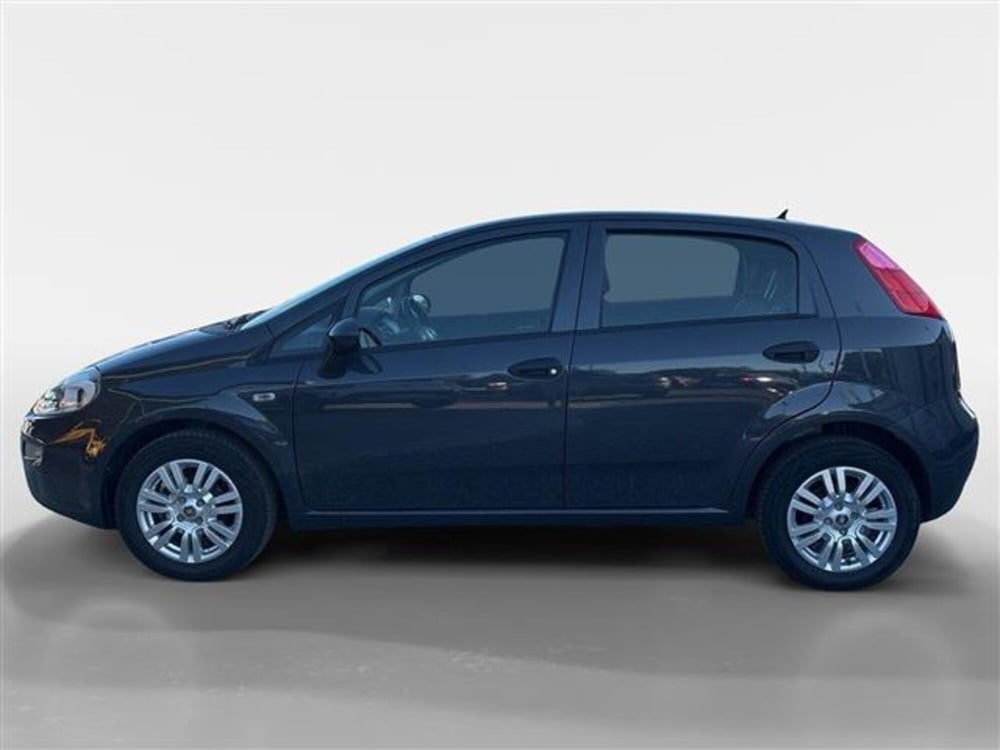 Fiat Punto usata a Torino (2)