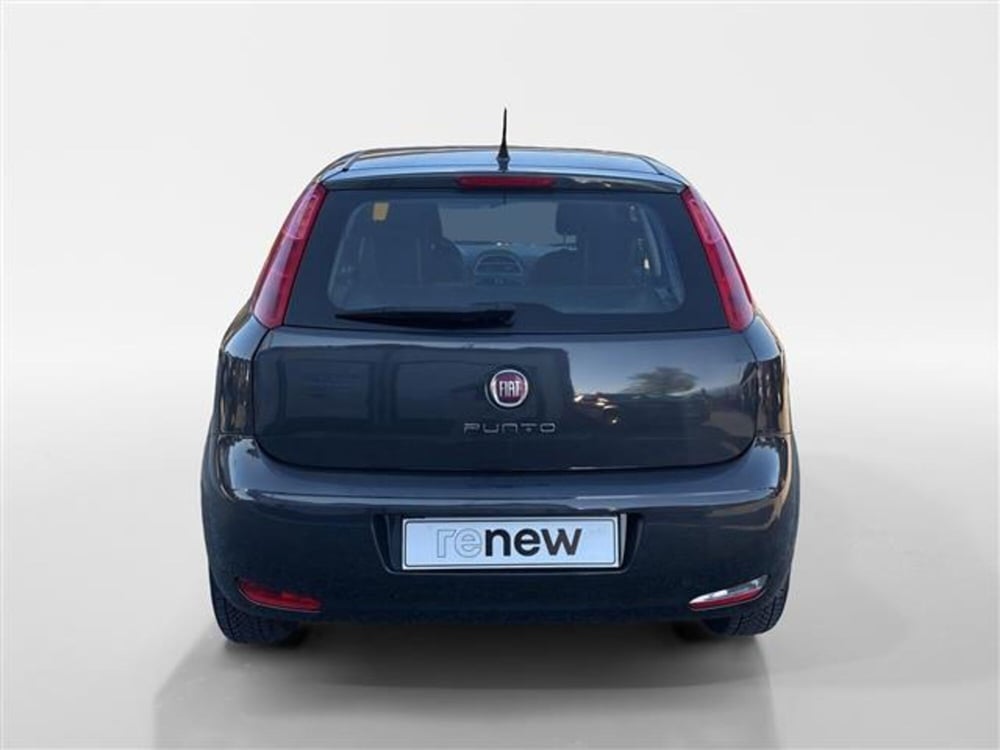 Fiat Punto usata a Torino (4)
