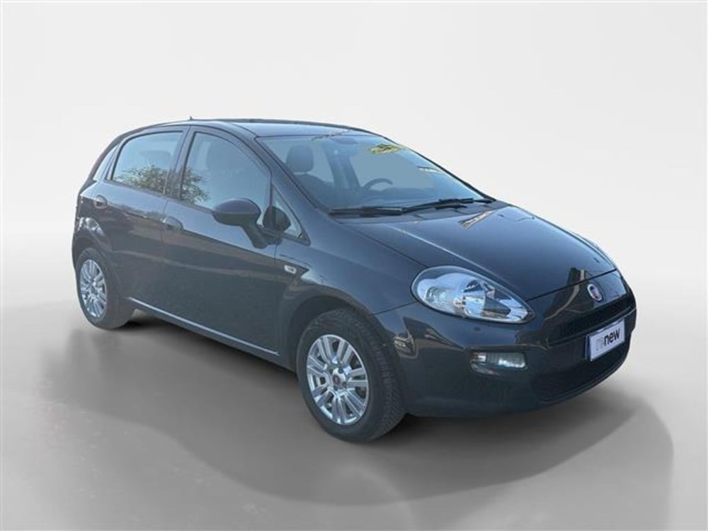Fiat Punto usata a Torino (7)