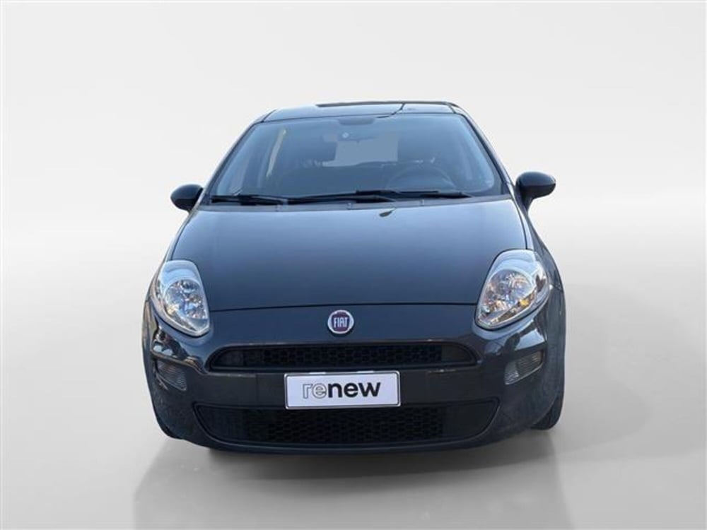 Fiat Punto usata a Torino (8)