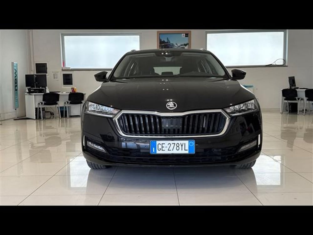 Skoda Octavia Station Wagon usata a Viterbo (2)