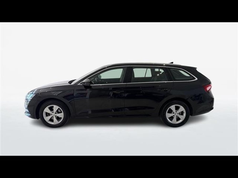 Skoda Octavia Station Wagon usata a Viterbo (4)