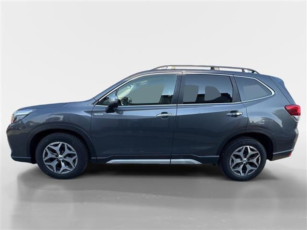 Subaru Forester usata a Torino (2)