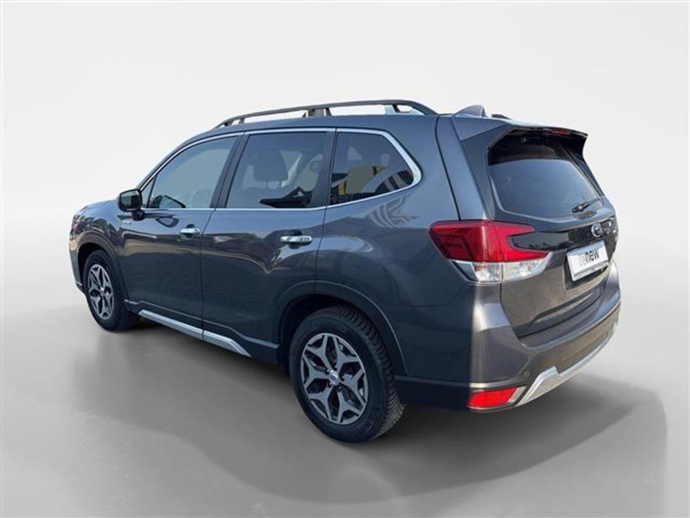 Subaru Forester usata a Torino (3)