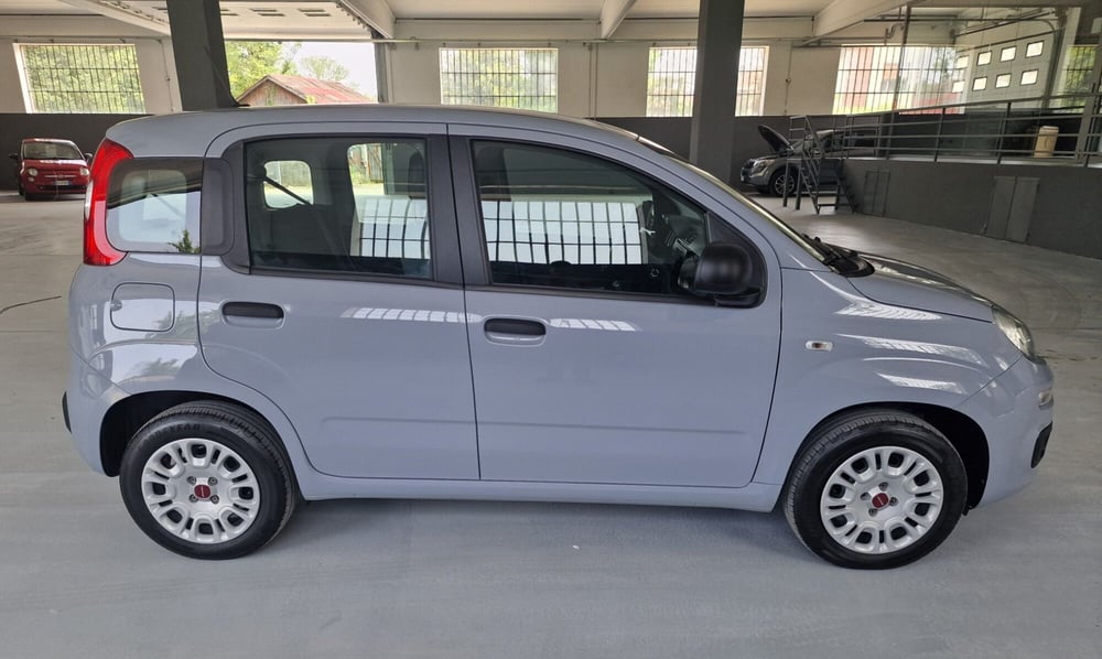 Fiat Panda usata a Torino (9)