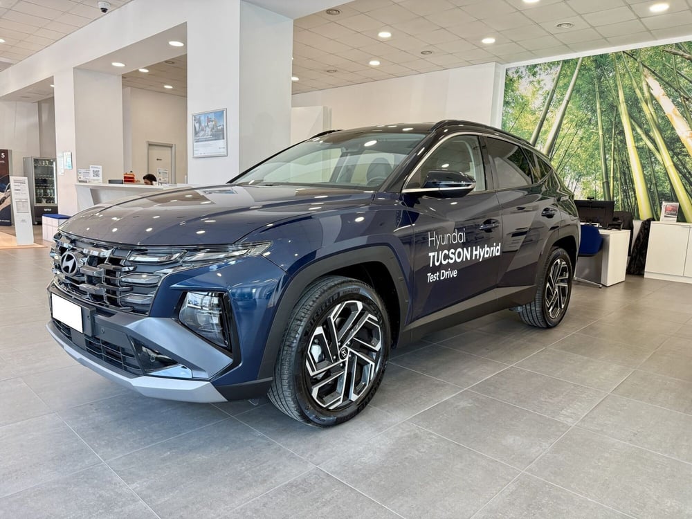 Hyundai Tucson usata a Napoli (2)
