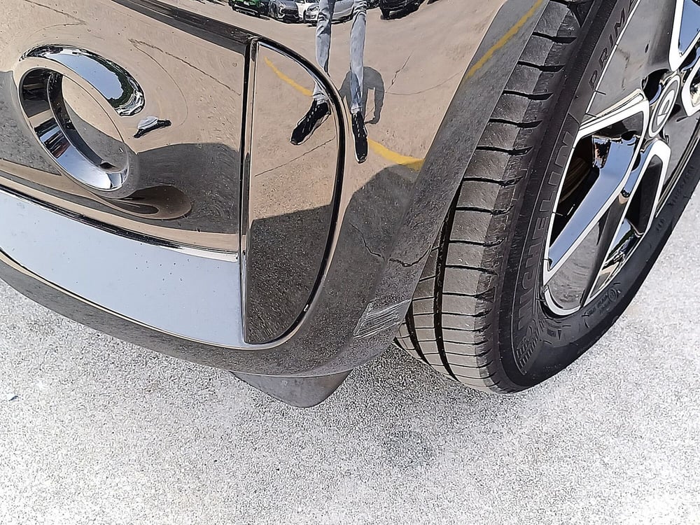 smart Fortwo usata  (18)