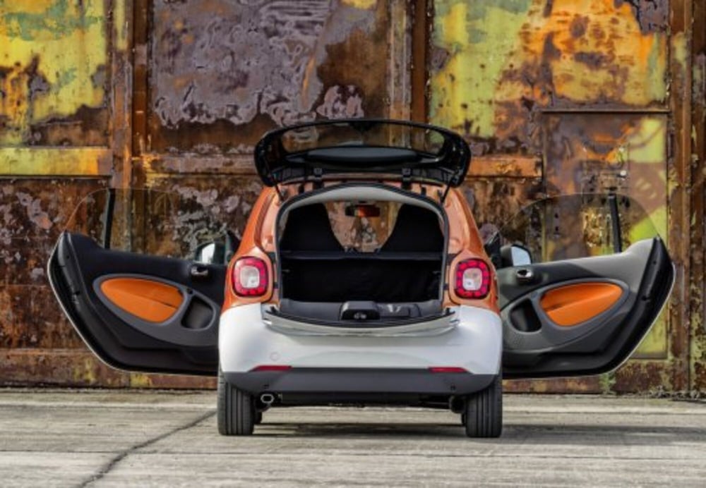 smart Fortwo usata a Teramo (17)
