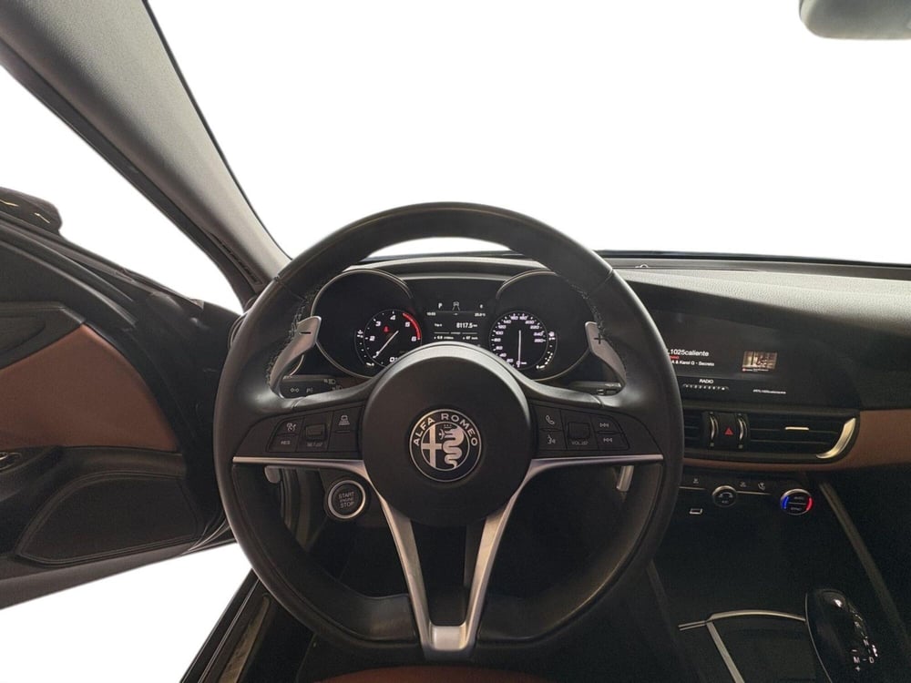 Alfa Romeo Giulia usata a Monza e Brianza (19)