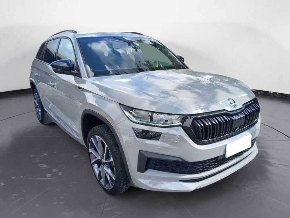 Skoda Kodiaq usata a Reggio Calabria (2)