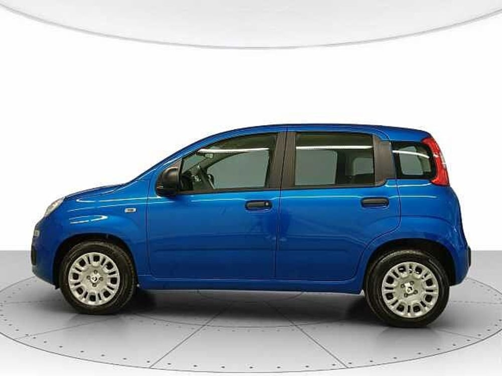 Fiat Panda nuova a Teramo (2)
