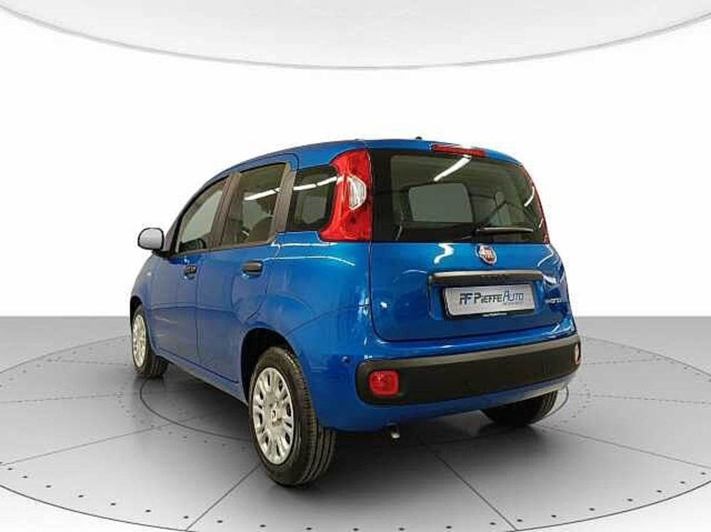 Fiat Panda nuova a Teramo (3)
