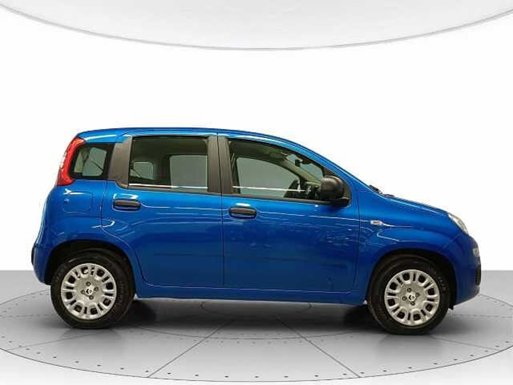 Fiat Panda nuova a Teramo (5)