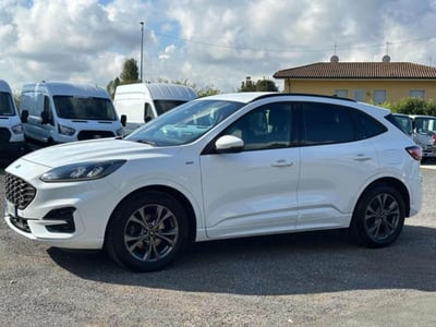 Ford Kuga 1.5 EcoBlue 120 CV aut. 2WD ST-Line X Design del 2022 usata a Massarosa