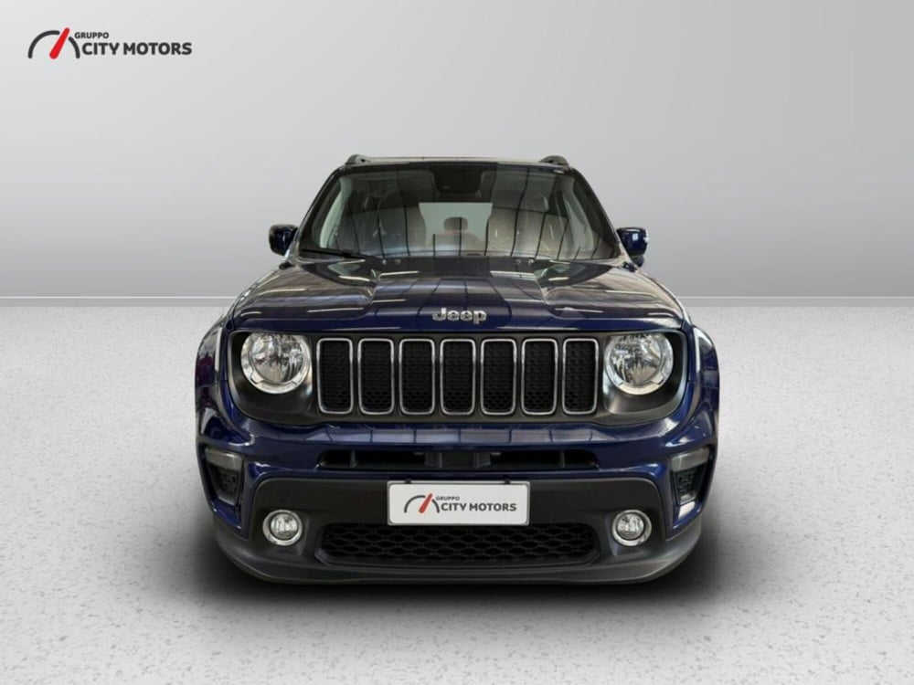 Jeep Renegade usata a Monza e Brianza (2)