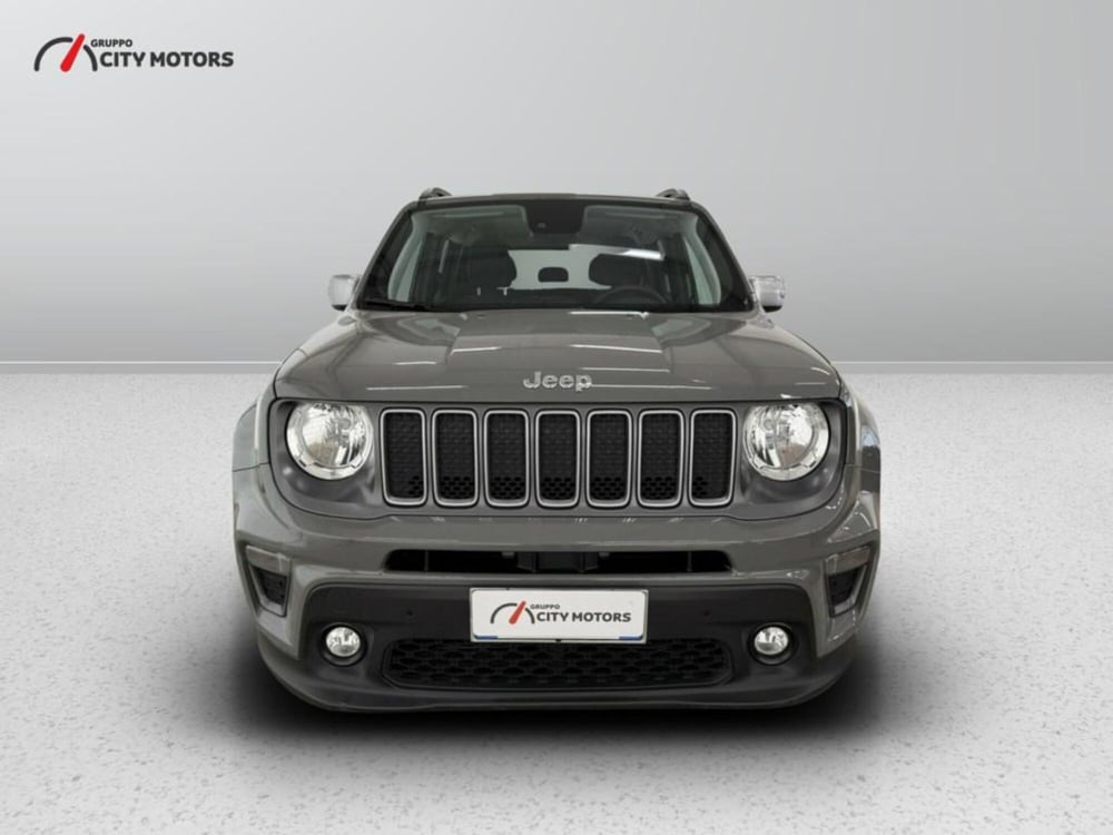 Jeep Renegade usata a Monza e Brianza (2)