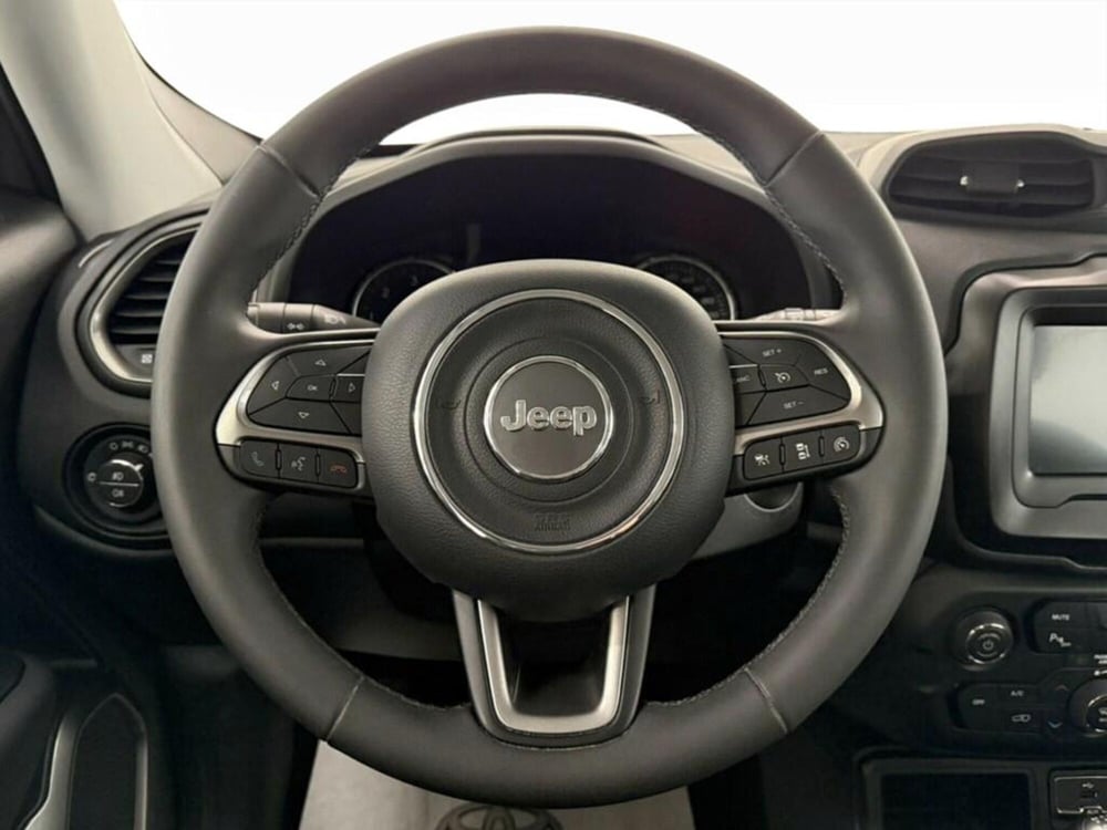 Jeep Renegade usata a Monza e Brianza (7)