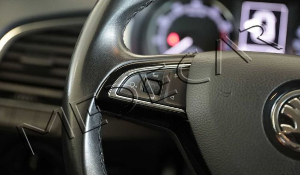 Skoda Fabia usata a Potenza (11)