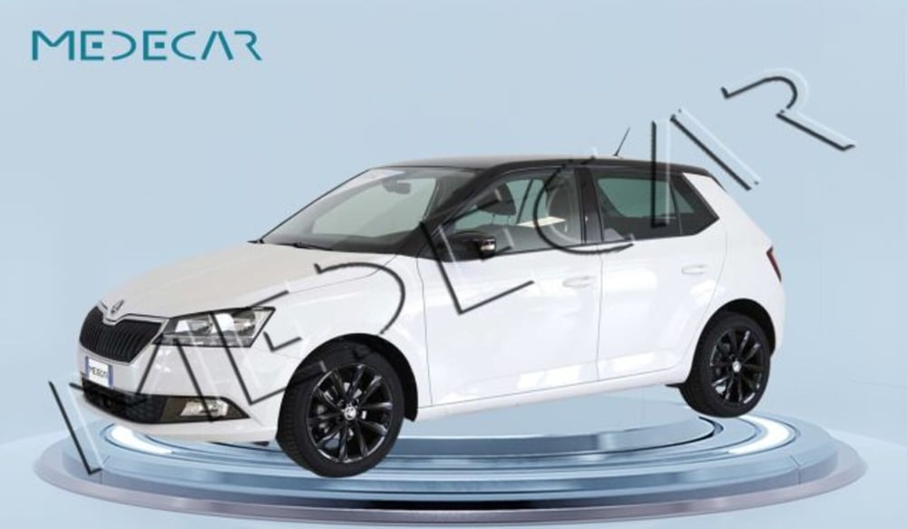 Skoda Fabia usata a Potenza (2)