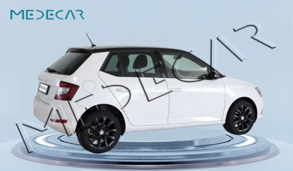 Skoda Fabia usata a Potenza (3)