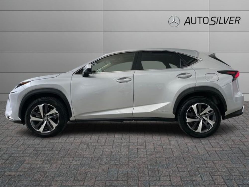 Lexus NX usata a Verona (6)