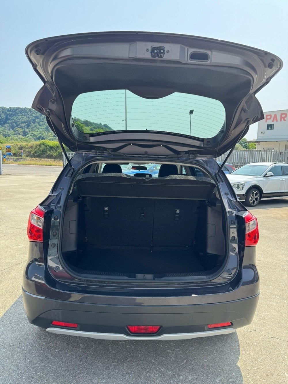 Suzuki S-Cross usata a Cosenza (7)