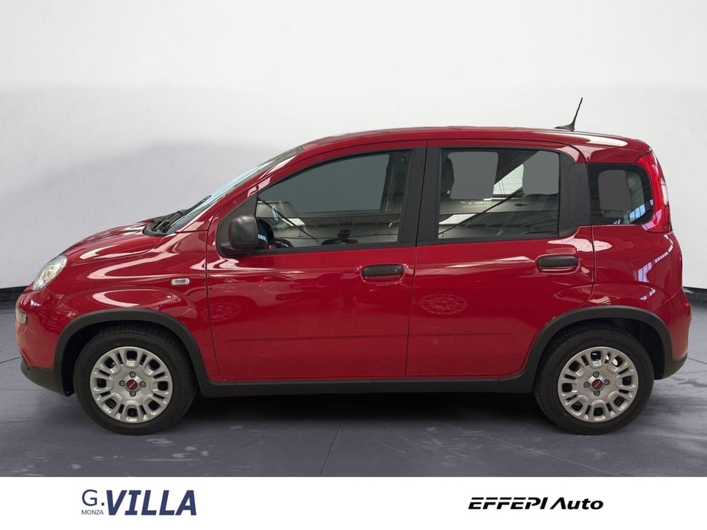 Fiat Panda nuova a Monza e Brianza (3)