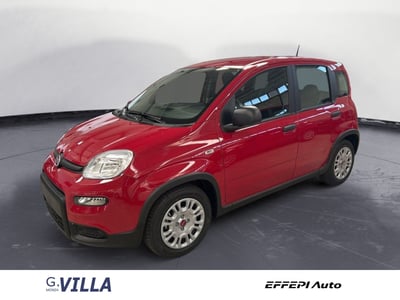 Fiat Panda 1.0 firefly hybrid s&amp;s 70cv 5p.ti nuova a Monza