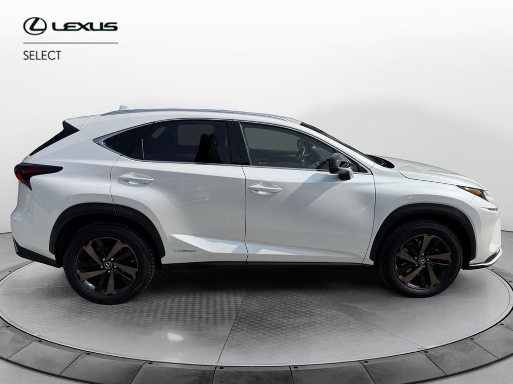 Lexus NX usata a Como (13)