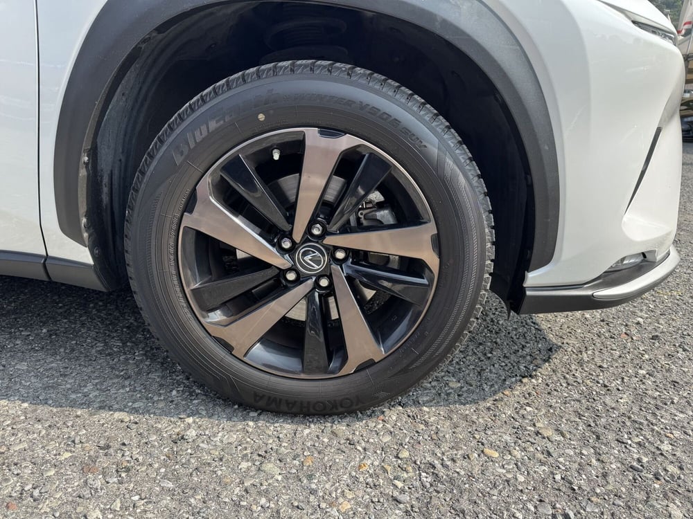 Lexus NX usata a Como (14)