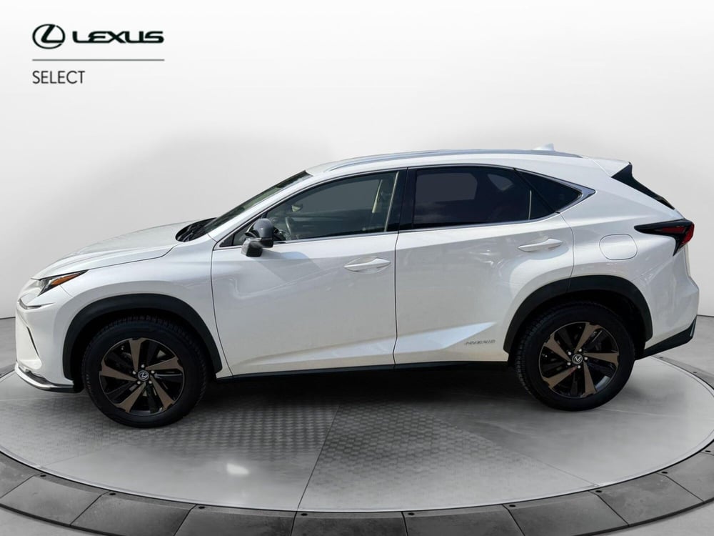 Lexus NX usata a Como (3)