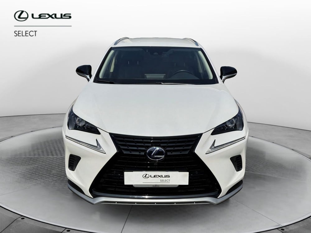 Lexus NX usata a Como (5)