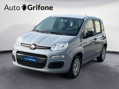 Fiat Panda 1.2 Easy del 2019 usata a Modena