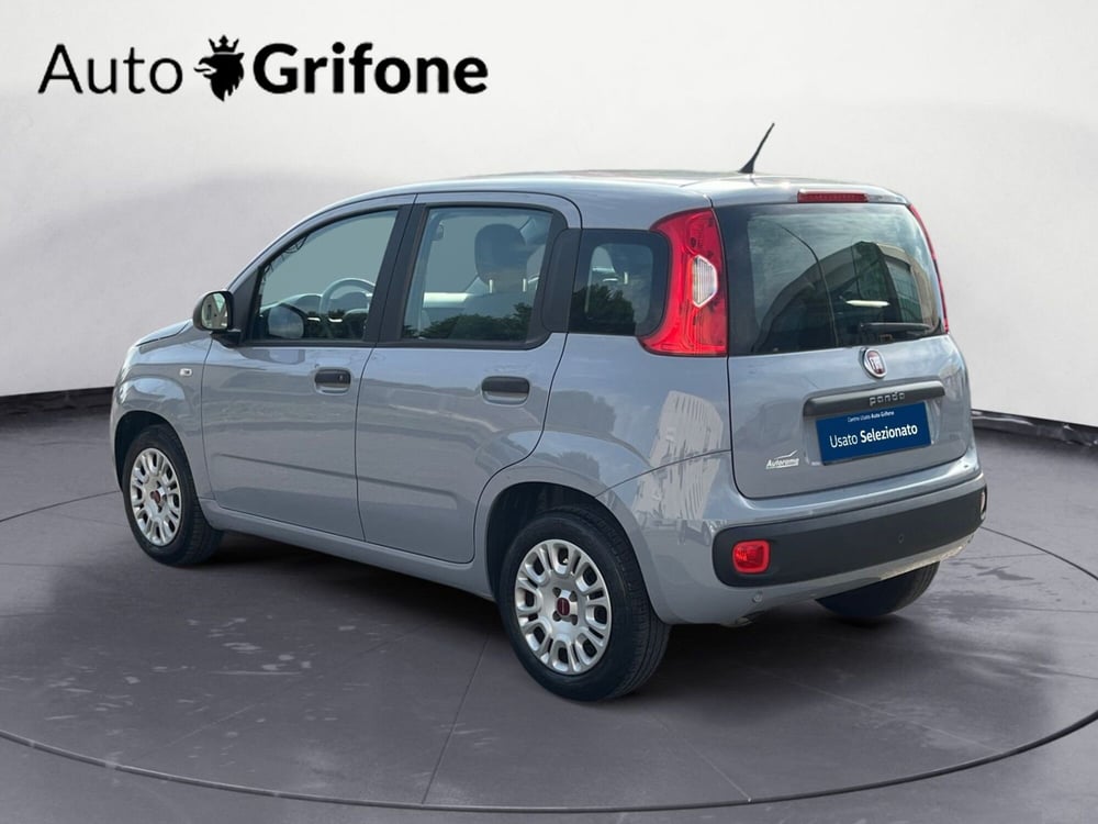 Fiat Panda usata a Modena (3)