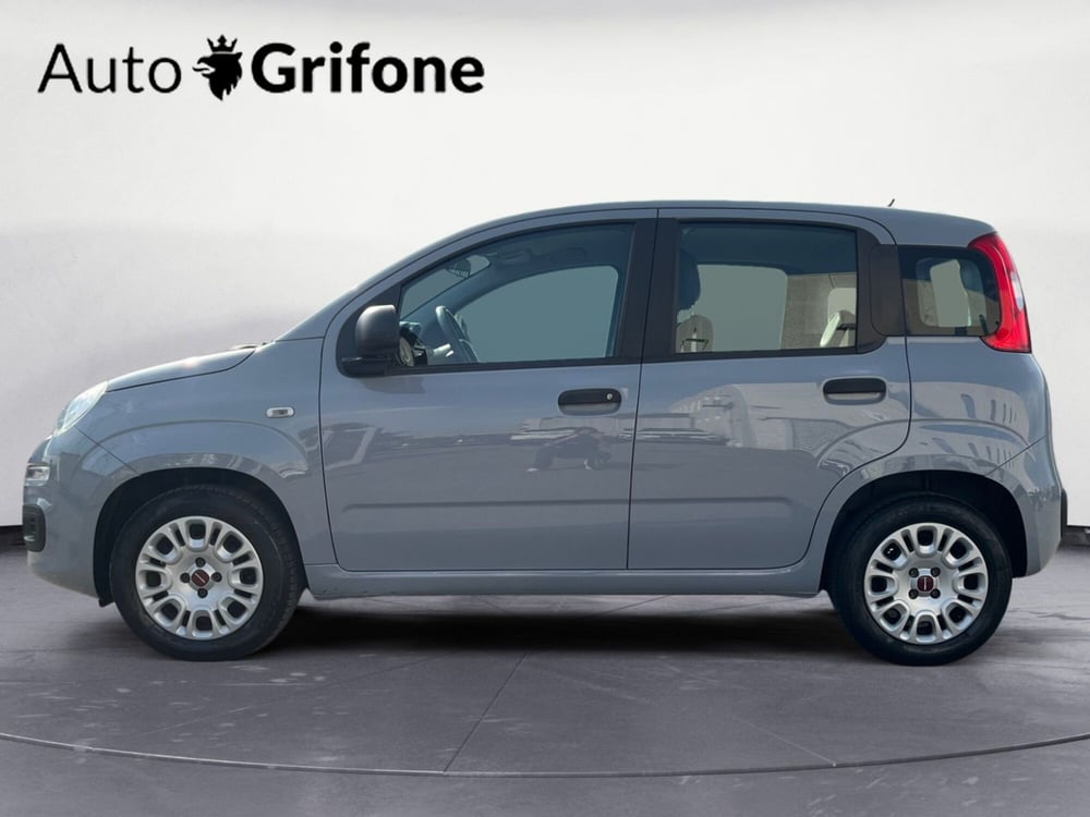 Fiat Panda usata a Modena (5)