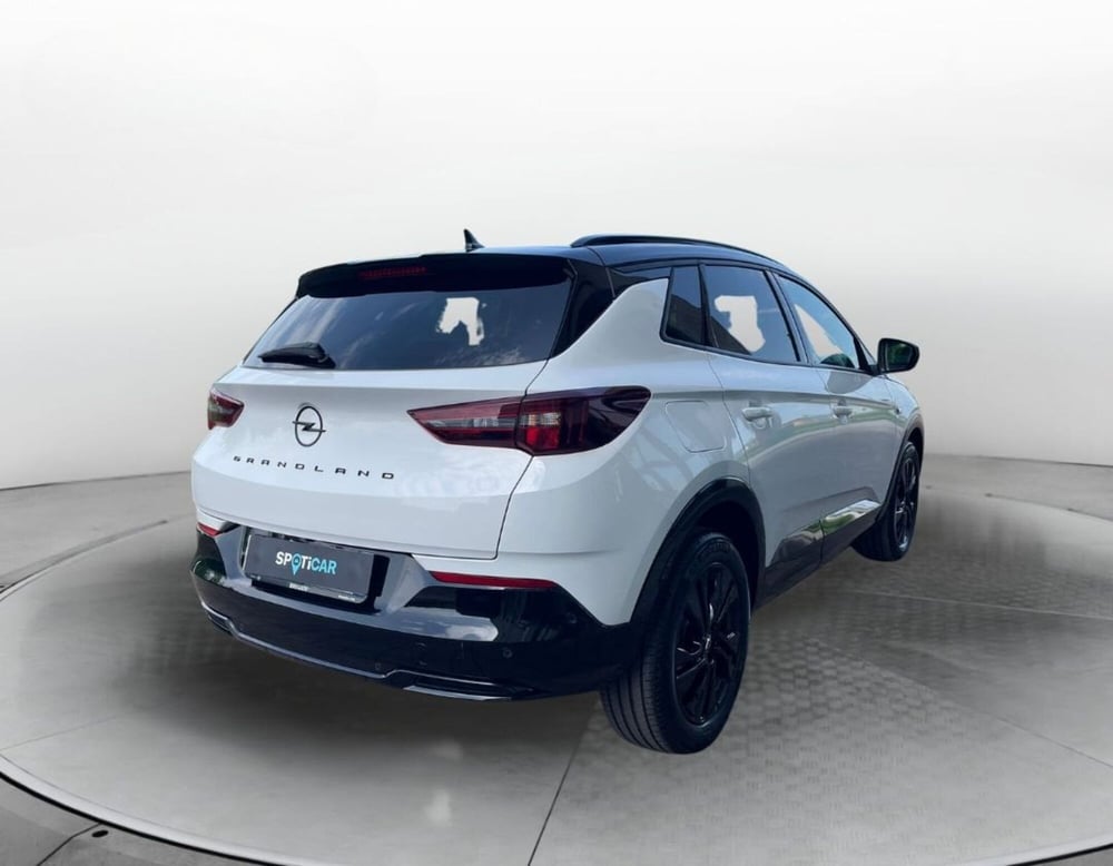 Opel Grandland usata a Rovigo (17)
