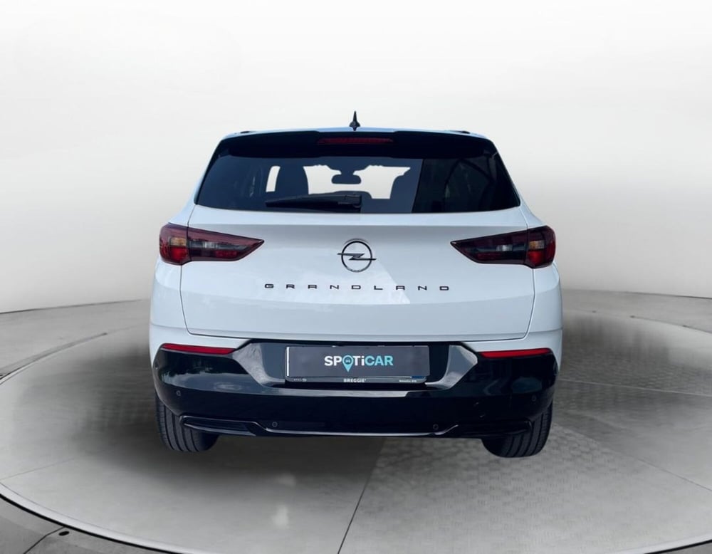 Opel Grandland usata a Rovigo (2)