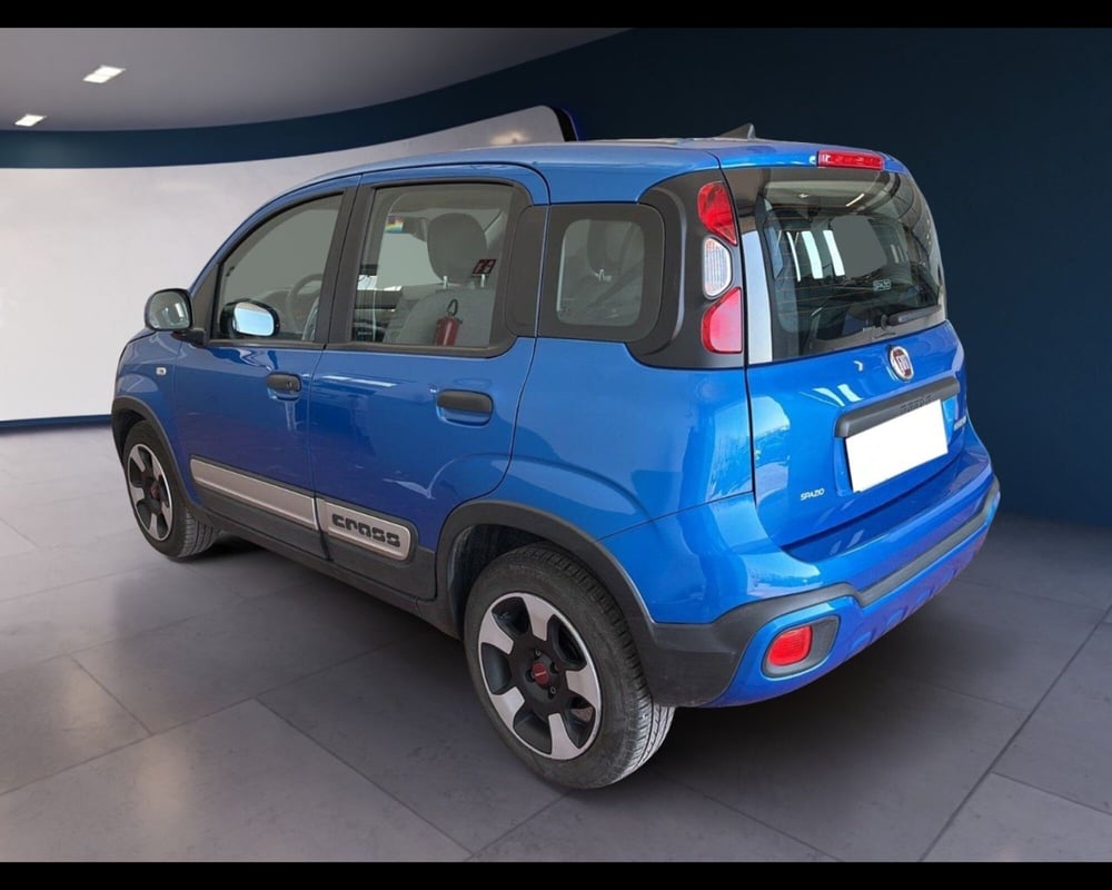 Fiat Panda Cross usata a Torino (10)