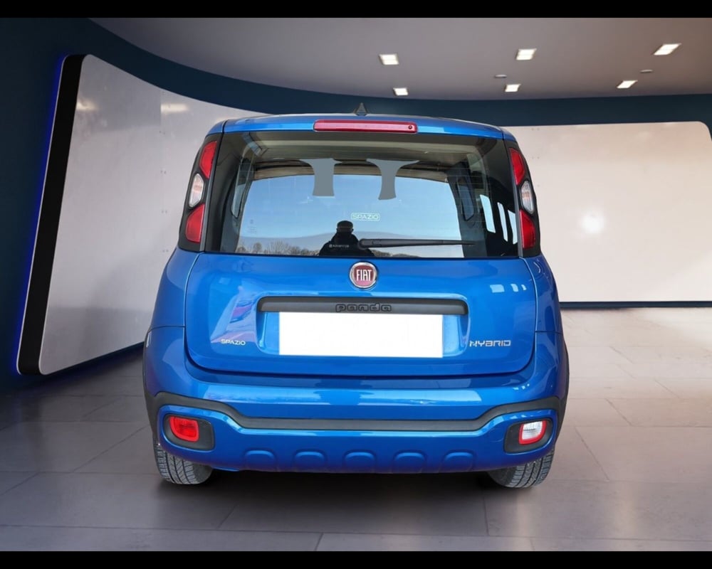 Fiat Panda Cross usata a Torino (11)