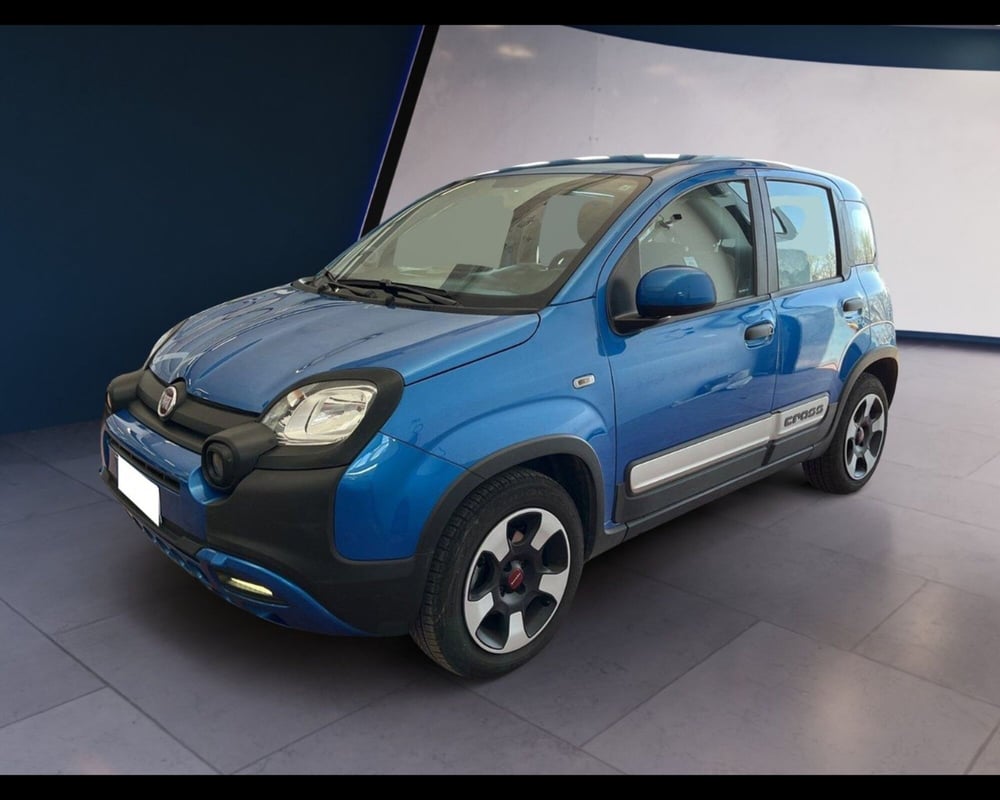 Fiat Panda Cross usata a Torino (7)